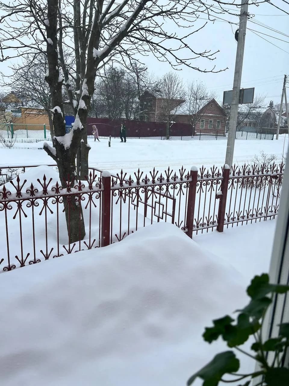 Двор зимой